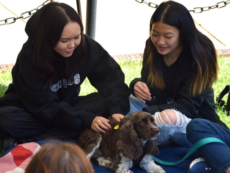 two students petting a therapy dog